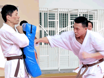 ashihara karate singapore