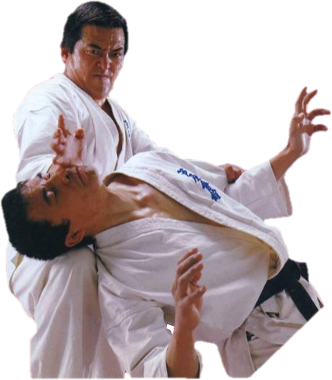 karate singapore